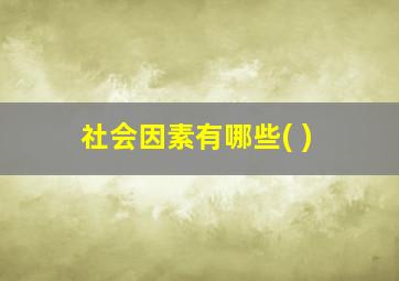 社会因素有哪些( )